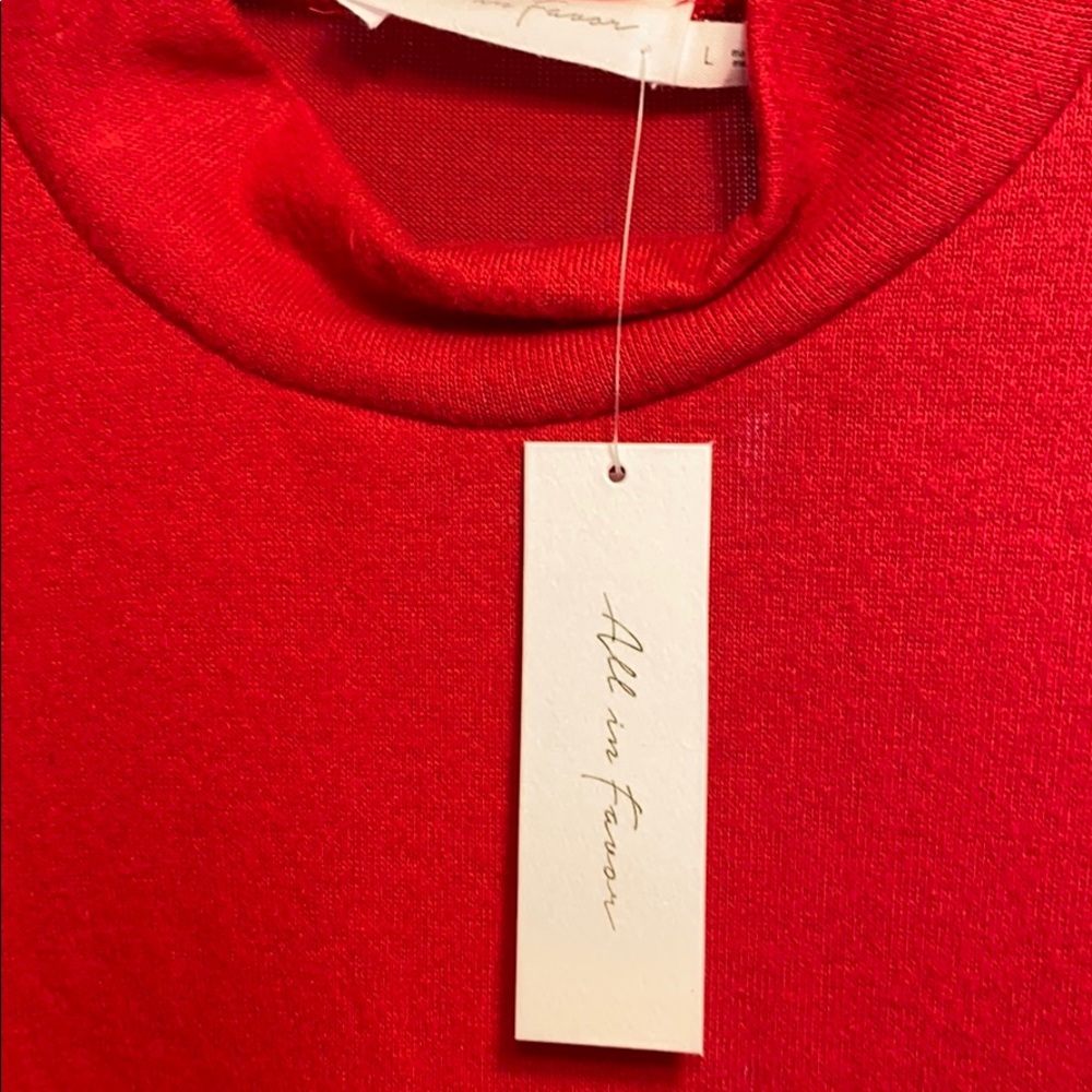 ALL IN FAVOR Mock Neck Sweatshirt Persian Red - Picture 6 of 7